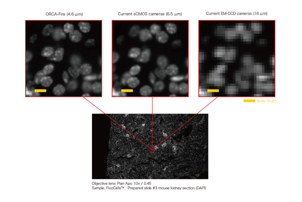 ORCA-Fire Comparison of image quality at different pixel sizes